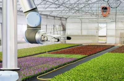 На ферме работают два вида роботов. © Scharfsinn | Shutterstock