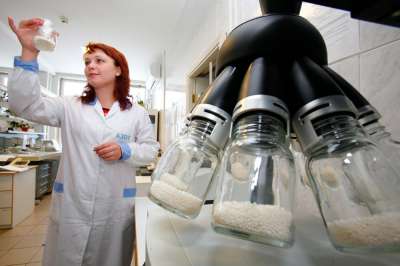 Лаборатории строго контролируют производство минеральных удобрений во избежание выбросов. Фото: РИА Новости www.ria.ru