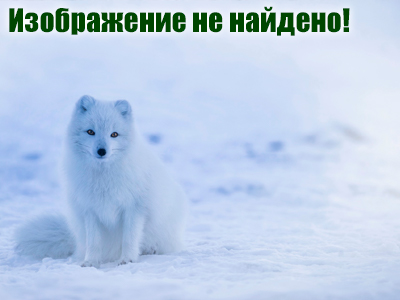 В Алтайском крае из-за морозов объявлено штормовое предупреждение. Фото REUTERS