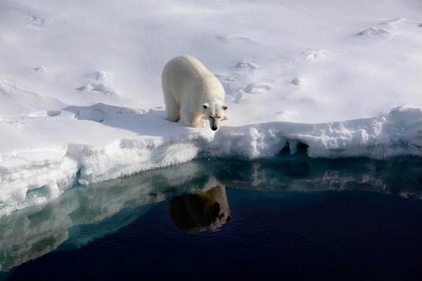 Экспедиция Greenpeace на Северный полюс