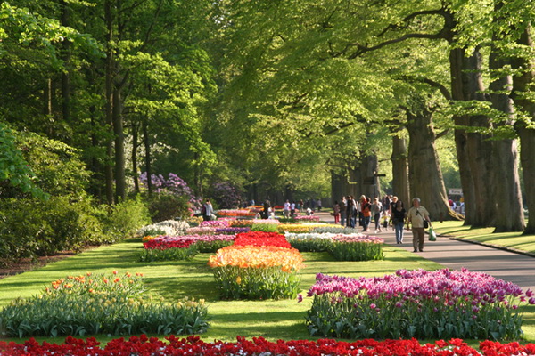 Королевский парк цветов