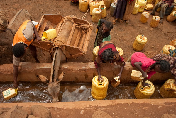 Чистая вода для здорового мира