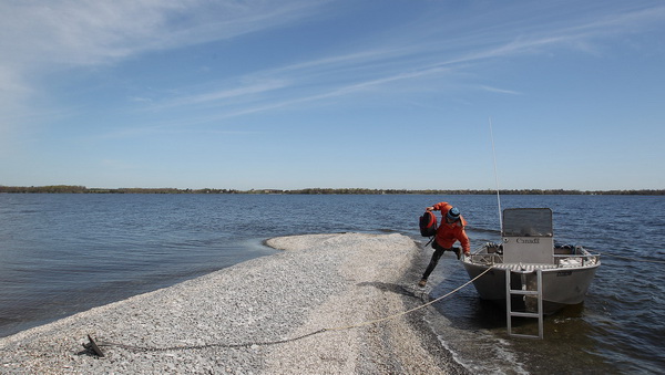 Наблюдение за чайками и бакланами на берегах озера Онтарио