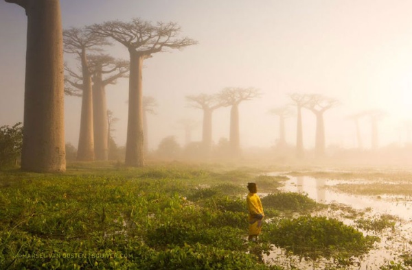 Фотофакт: Топ лучших фотографий National Geographic 2015 года