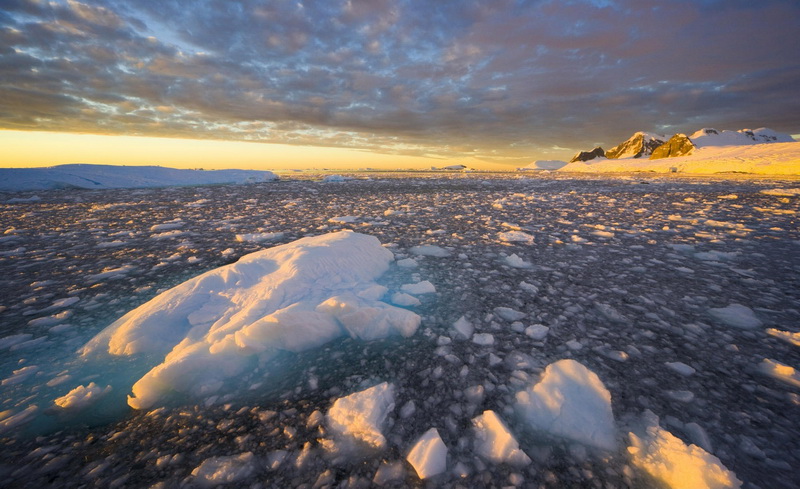 Фотофакт: 20 любопытных фактов об Антарктиде, которых вы не знали