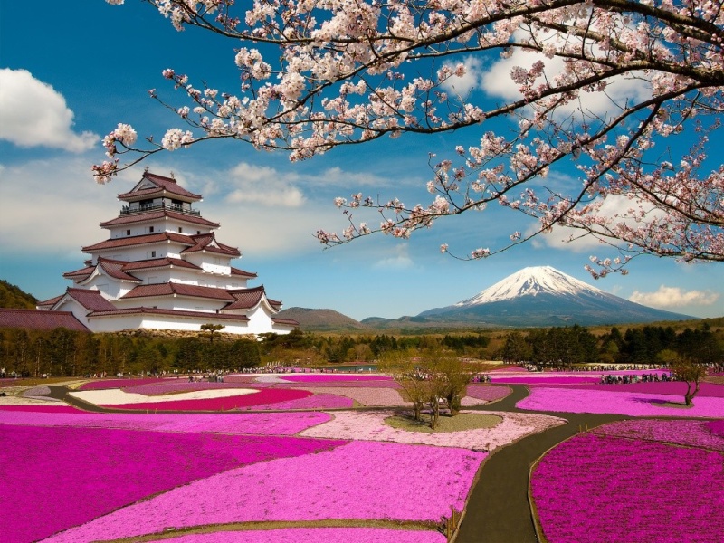 Фотофакт: В Японии весной цветет не только сакура