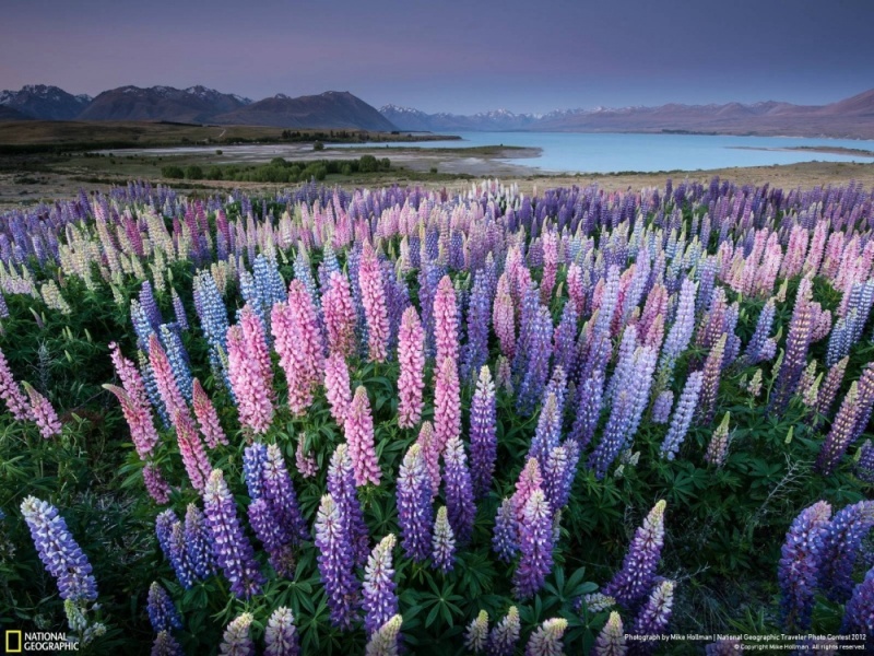 Фотофакт: Волшебная природа Новой Зеландии