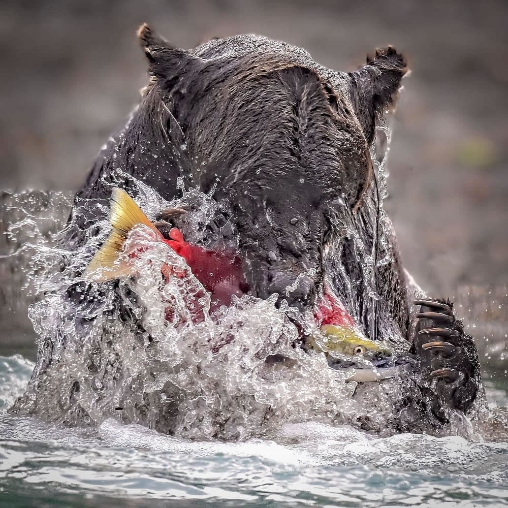 Десятое место — снимок Стью Риса, Новая Зеландия / © One Eyeland Photography Awards 2023