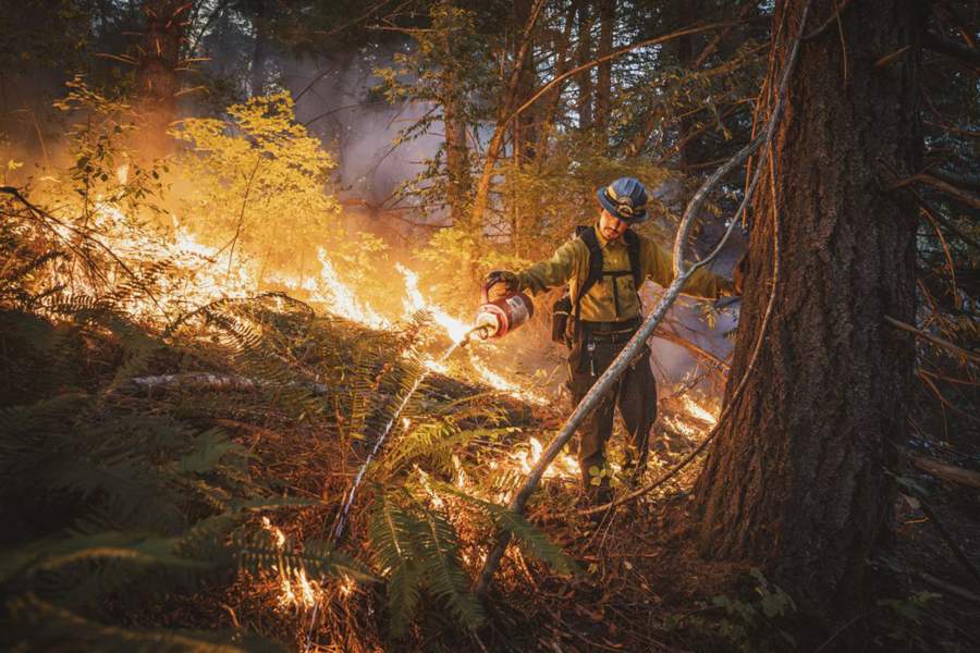 Мэдди Рифка покорила жюри фотографией «Хороший огонь» — она возглавила категорию «Человек/природа». Фото: BigPicture Photography: Natural World Photography/Maddy Rifka