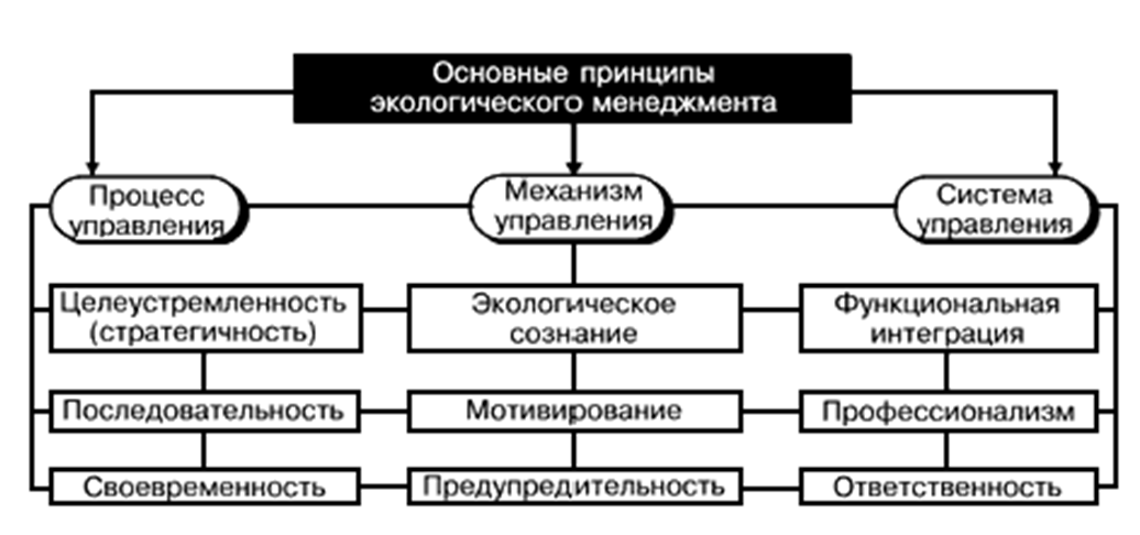 Рис. 4. Принципы экологического менеджмента