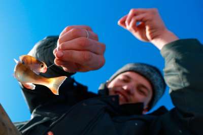 С 2021 года платная рыбалка на большинстве водоемов будет вне закона. Фото: Владимир Смирнов / ТАСС
