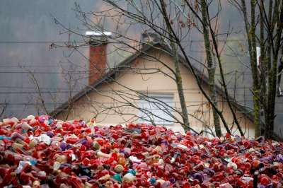 В области очень надеются, что раздельный сбор мусора в этом году дойдет и до дач. Фото: Reuters.