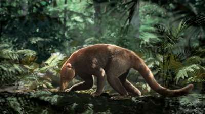 Через 300 000 лет после падения астероида на Земле снова появились звери, подобные этому всеядному виду из отряда Loxolophus. (Иллюстрация: HHMI TANGLED BANK STUDIOS)