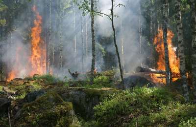 В последние годы все чаще в северных регионах Европейской части России, на Урале и в Сибири в результате таких антициклонов возникают условия для пожаров. 