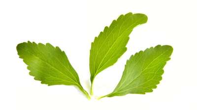 Листья стевии используются как заменитель сахара. Небольшого количества достаточно, чтобы сделать напиток или продукт сладким.