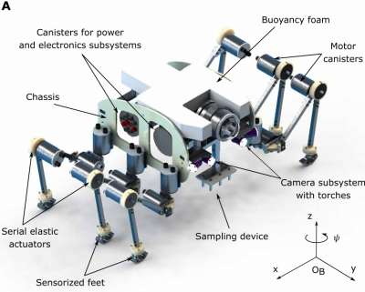 Фото: Picardi et al. / Science Robotics, 2020