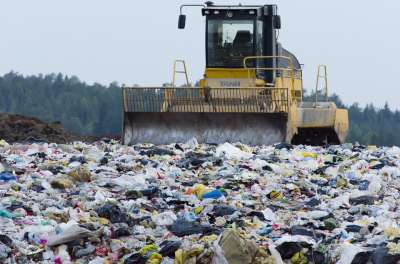 Специалисты очистят участок от мусора, а также восстановят плодородность и лесные насаждения. Иллюстрация: pixabay.com