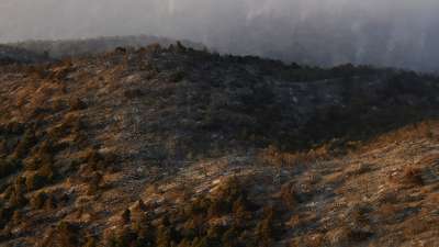 Кто превратил заповедную землю Черноморья в ночлежку для хиппи. Фото: РИА Новости/Георгий Зимарев 