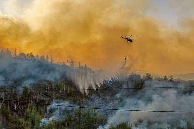 В этом сезоне общая площадь в лесах, пройденная огнем, сократилась почти на 30%. Фото: РИА Новости 