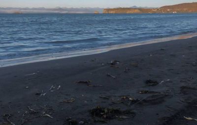Специалисты уже взяли с места происшествия пробы морской воды, воздуха и песка для исследований. Фото: Ульяна Бакуменко/ТАСС