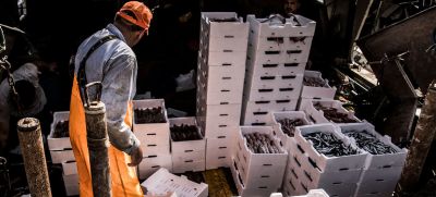Контроль за рыбной ловлей помогает не допустить чрезмерной эксплуатации рыбных ресурсов. Фото: ФАО/Л.Миникьелло