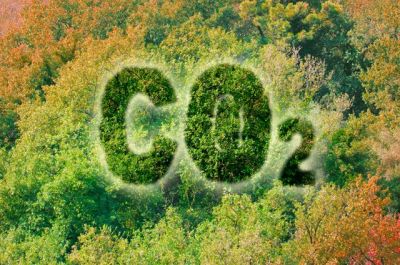 Тропические леса перестают выполнять функцию поглощения углекислого газа. © / Francesco Scatena / Shutterstock.com