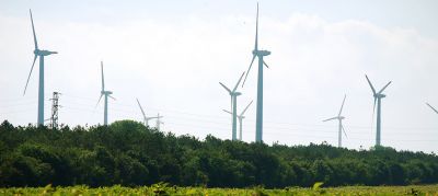 Все больше стран заявляют о переходе на возобновляемые источники энергии. По данным МОТ, переход на зеленую экономику позволит создать 24 млн. рабочих мест к 2030 году. Фото Всемирного банко/И.Таушанова