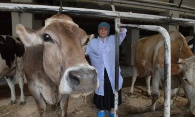Ветеринар Надежда Рахманина сообщила, что массовость наблюдается только у сельскохозяйственных животных.