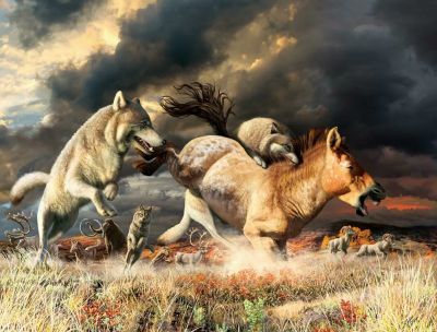 Художественное изображение охоты серых волков в конце плейстоцена около 25 тысяч лет назад. Иллюстрация: Julius Csotonyi
