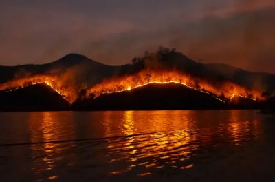 С каждым годом появляется все больше новостей о страшных и смертоносных пожарах по всему миру. Чем это нам грозит? Фото: Unsplash