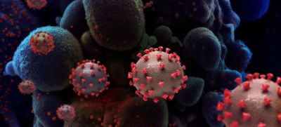 Происхождение коронавируса пока остается неизвестным. Нужны дальнейшие исследования. Иллюстрация: NIH