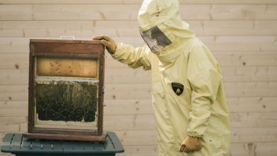 На пасеке в Сант-Агата-Болоньезе обитают около 600 000 пчёл. Фото: Lamborghini