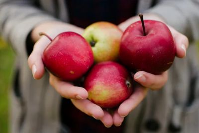 Совет для дачников: чтобы ваши яблоки были вкуснее, чем на рынке, приобретите компостер или выройте компостную яму. А еще заведите кур.