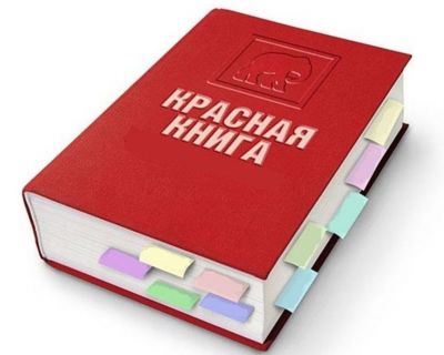 Как сообщил глава Минприроды Александр Козлов, ее тираж составит 2 тыс. экземпляров.