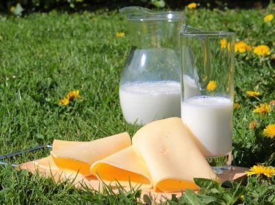 Эксперты разошлись во мнениях насчет пользы и вреда молочных продуктов. Иллюстрация: pixabay.com
