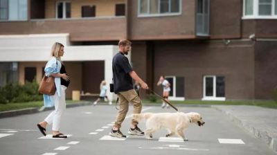 Хозяин должен убирать за своей собакой в общественных местах, а также выгуливать питомца только на специально отведенных территориях. 