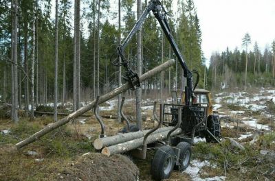 Устанавливается, что само появление в лесу с определённой техникой для рубки или транспортировки деревьев приравнивается к незаконной заготовке древесины 