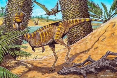 Иллюстрация: «Cemitrio dos Pterossauros» Quarry/Nature Portfolio.