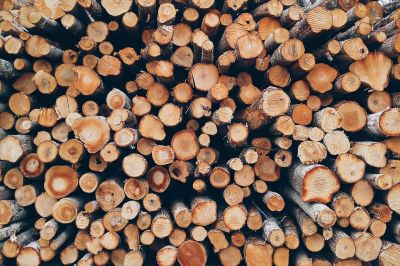 Лесозаготовки также влияют на увеличение выбросов углерода во время пожаров.
