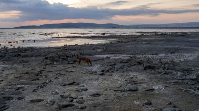 Уровень воды в озере упал на 3м. Фото: UĞUR YILDIRIM.