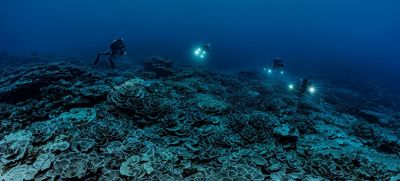 Научно-исследовательская миссия при поддержке ЮНЕСКО обнаружила у берегов Таити один из крупнейших коралловых рифов в мире.  Фото: А. Розенфельд.