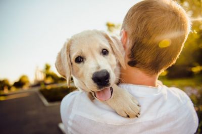 От избытка радости собака может прыгать на человека при встрече или во время игры.