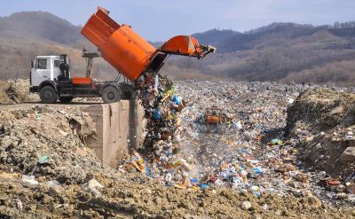 Ученые смогут определить, как быстро восстановятся территории закрытых полигонов отходов. Фото: Getty images.