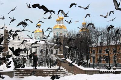 Голуби живут только в мирном городе. Фото: Леся Полякова / РИА Новости.