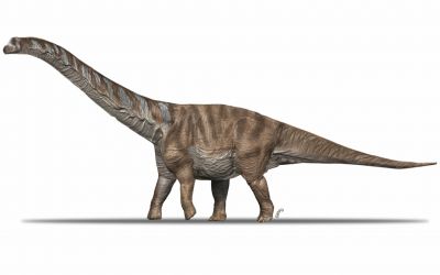 Реконструкция внешнего вида Abditosaurus kuehnei / Oscar Sanisidro