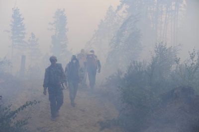 Пожары - одна из самых больших проблем захламленных лесов, люди могут добраться далеко не везде. Фото: РИА Новости.