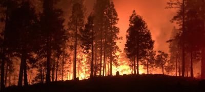 Лесные пожары и изменение климата взаимосвязаны – засухи, потепление, снижение относительной влажности, молнии и сильный ветер удлиняют периоды сильной жары и сезон лесных пожаров. Фото Пожарного управления Сан-Франциско.