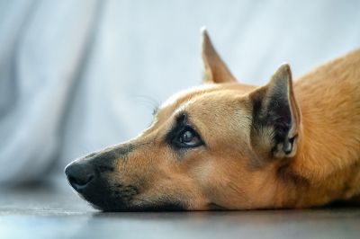 Иллюстрация: Depositphotos.