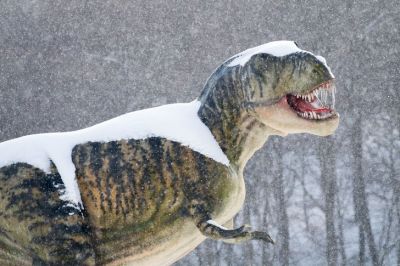 Полноразмерная модель тираннозавра в Славутовке, Польша. Фото: Wojciech Stróżyk / Alamy.