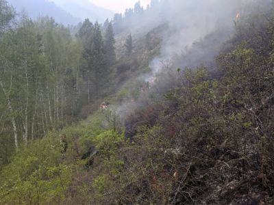 Тушение пожара осложняется сложным горным рельефом местности.